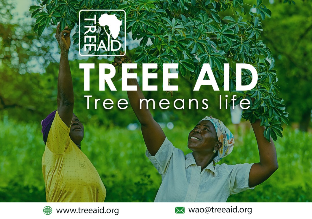 Tree Aid recrute plusieurs postes vacants